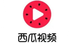 西瓜视频免费观看,解锁海量精彩内容！